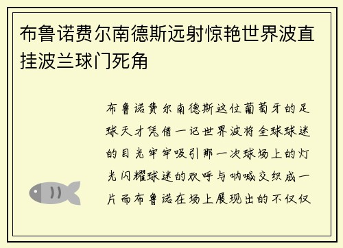 布鲁诺费尔南德斯远射惊艳世界波直挂波兰球门死角