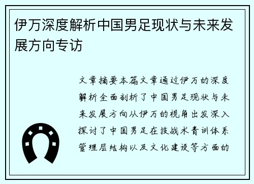 伊万深度解析中国男足现状与未来发展方向专访